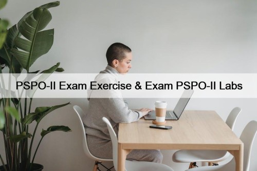 PSPO-II Exam Exercise & Exam PSPO-II Labs